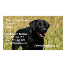 Black Lab in Field Business Cards
