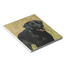 Black Lab in Field Notepad