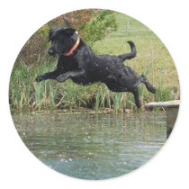 Black Lab Jumping stickers by randolph259 Black Lab Jumping stickers