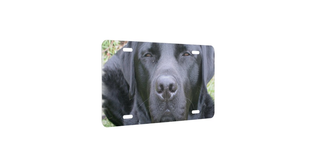 Black Lab License Plate Zazzle