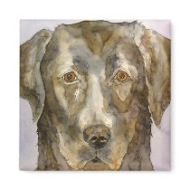 black lab magnet