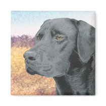 Black Lab magnets by wildlifeart Black Lab magnets