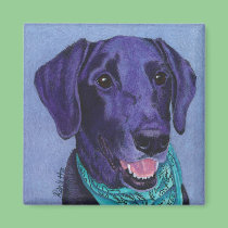 Black Lab Magnet - "Gus" magnets