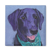 Black Lab Magnet - "Gus"