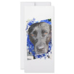 Black lab mix head with blue tinsel rack card template