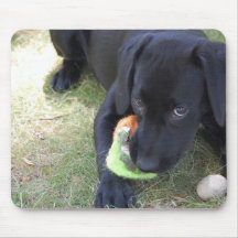 BLack Lab Mouse Mats