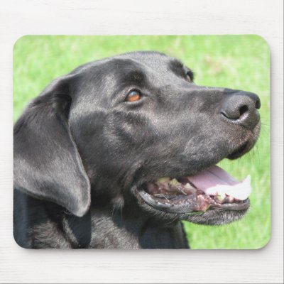 Black Lab Mouse Pad by iiiyaaa