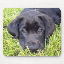Black Lab mousepad by BVanfleet Black Lab mousepad
