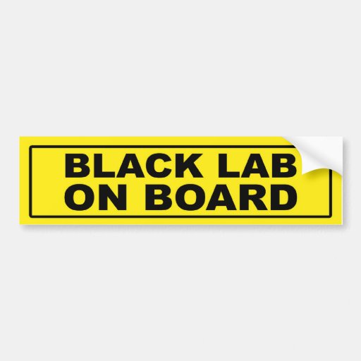 Black Lab on Board Bumper Sticker Zazzle