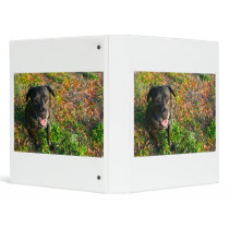 Black Lab on Left Grass on right picture Vinyl Binders