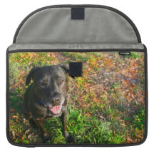 Black Lab on Left Grass on right picture Sleeves For MacBook Pro