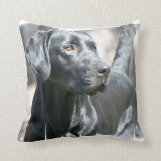 black lab holiday pillow