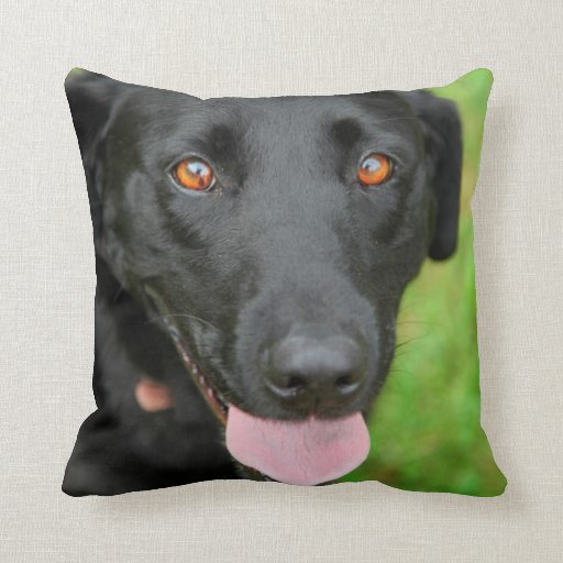 lab dog pillow