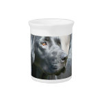 Black Lab  Pitcher