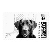 Black Lab postage by iiiyaaa Black Lab postage