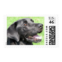 Black Lab Postage