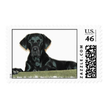 Black Lab Postage Stamp