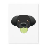 Black Lab Postcard