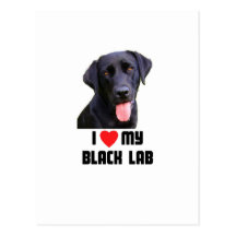 Black Lab Postcards