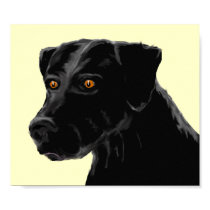 Black Lab Poster posters