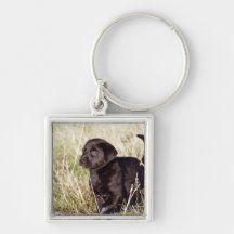 Black Lab Puppy Key Chain