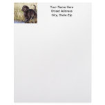 Black Lab Puppy Personalized Letterhead
