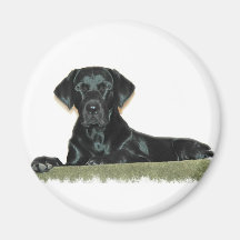 Black Lab Round Magnet