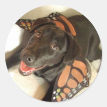 black lab sticker