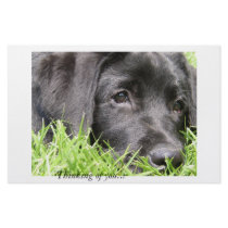 Black Lab Thinking of You stationery