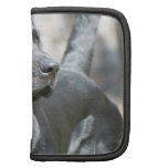 Black Lab  Wallet Folio Folio Planners