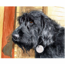 Black Labradoodle #1 Sculpture photo sculptures