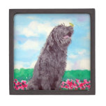 Black Labradoodle and Butterfly Premium Jewelry Boxes