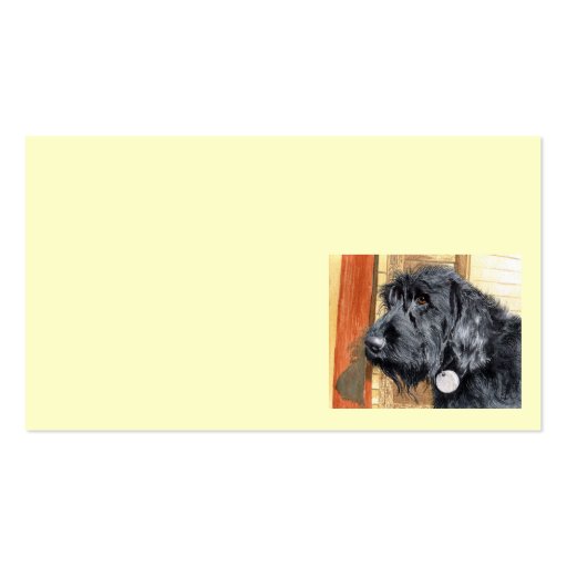 Black Labradoodle Business Cards