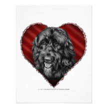 Black Labradoodle with Heart Personalized Announcements