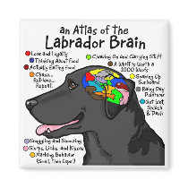 Black Labrador Brain Atlas magnets by terrypond Black Labrador Brain Atlas magnets