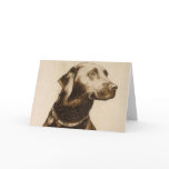 Black Labrador
