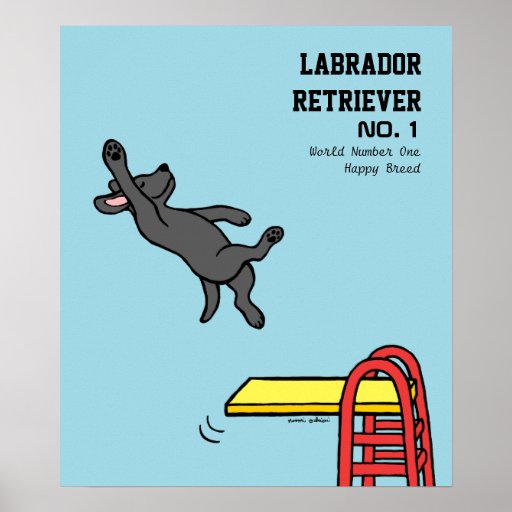 Black Labrador Diving Cartoon Poster