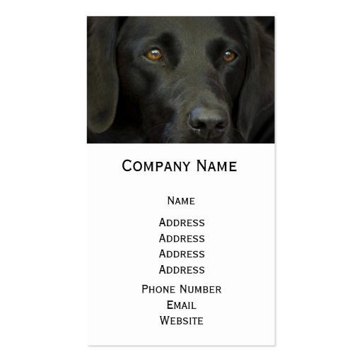 Black Labrador Dog Business Card