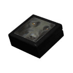 Black Labrador Dog Gift Box