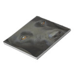 Black Labrador Dog Memo Note Pad