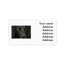 Black Labrador Dog Personalized Address Labels