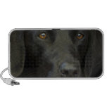 Black Labrador Dog Speaker