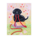 Black Labrador in the box Painting Post Card