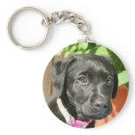 Black Labrador Key Chain Black Labrador Key Chain