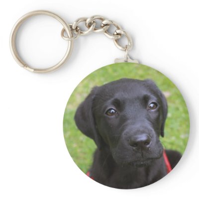Black Labrador Key Ring Key Chains by sallemange