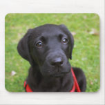 Black Labrador Mouse Mat