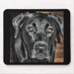 Black Labrador Mouse Pads