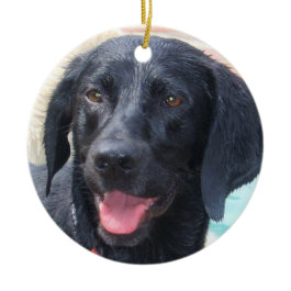 Black Labrador ornament