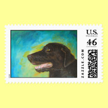 Black Labrador Portrait postage