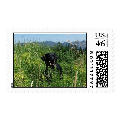 Black Labrador Stamps by barrettlinda